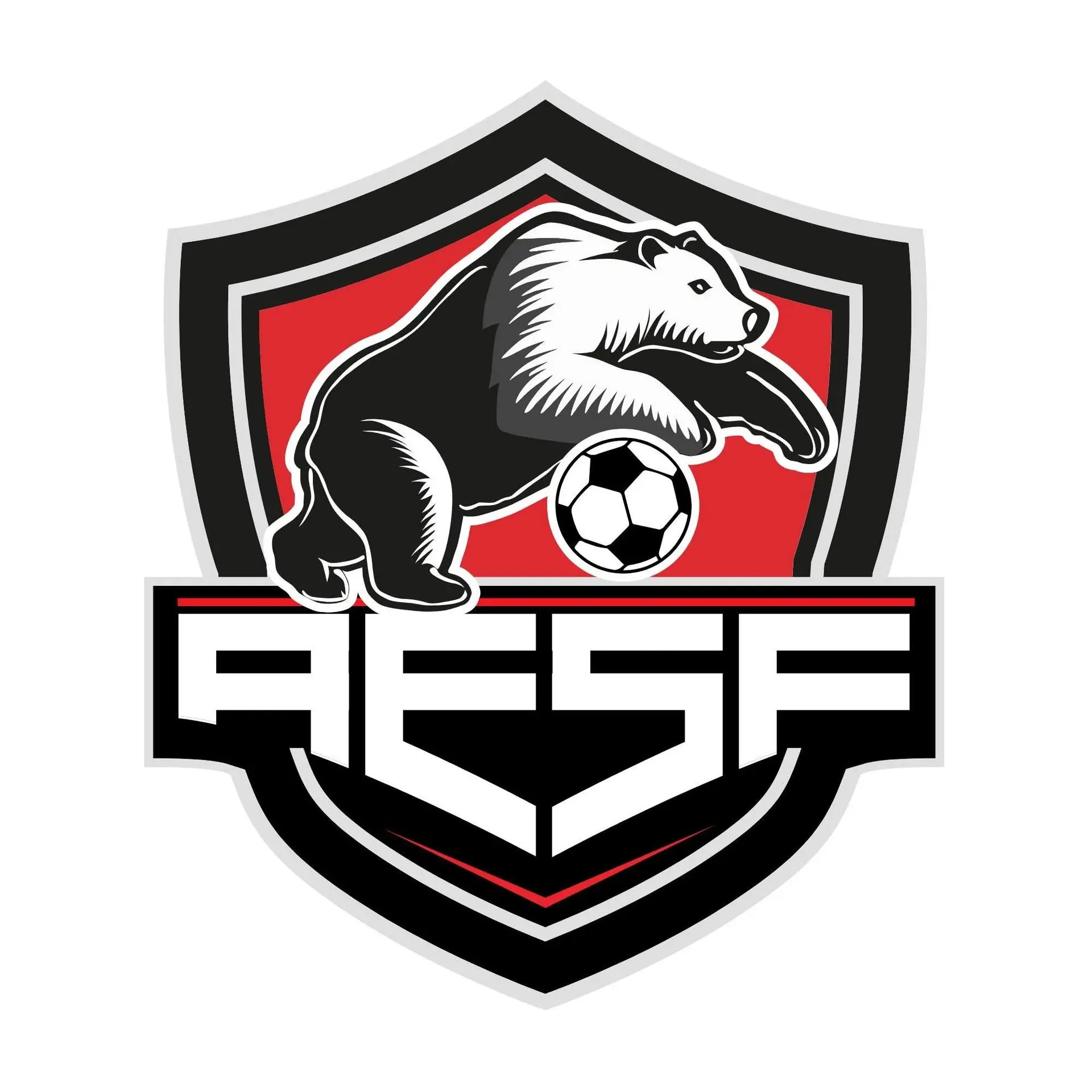 andennesportsfootball